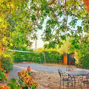 La Casina , Acquaviva (Poggibonsi) Italia