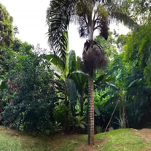 Apartamento La Nature, Au Cap